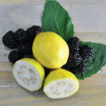Guava and Blackberry Scent