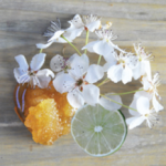 Fresh Tuberose, Citrus, and Amber Scent!