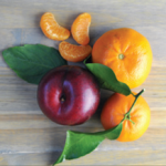 Energizing Tangerine and Plum Scent